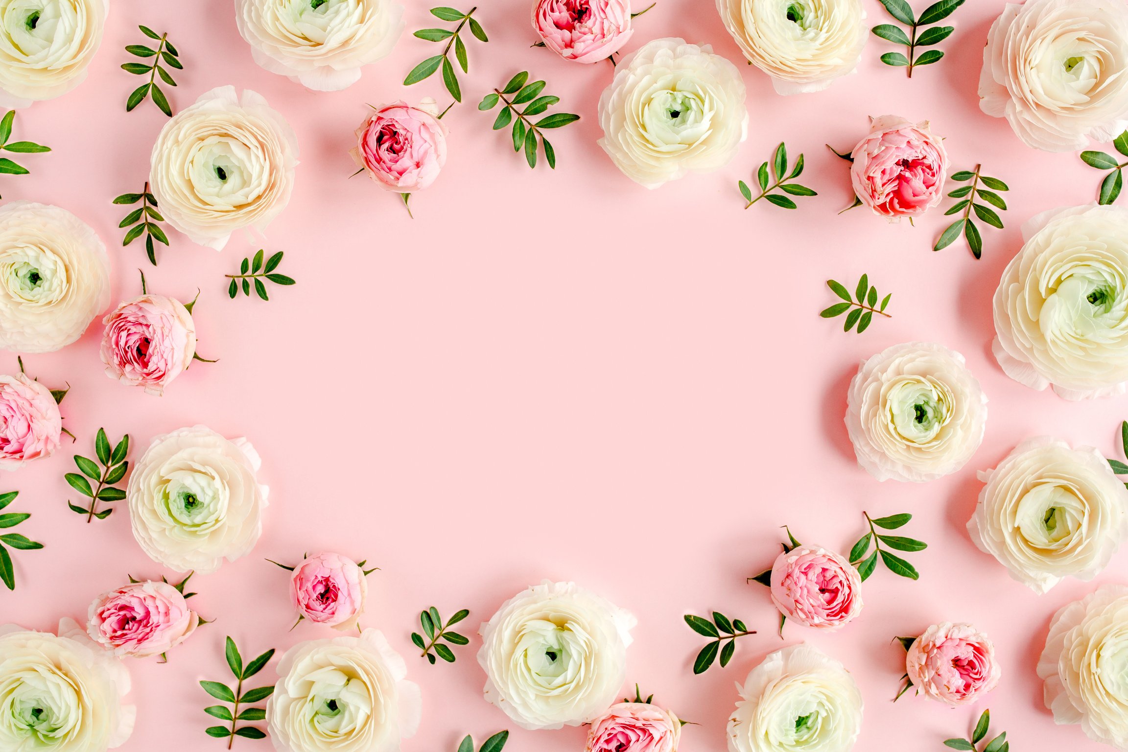 Pink and White Roses Frame on Pink Background